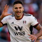 mitrovic