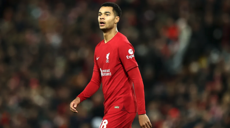 cody gakpo liverpool transfer